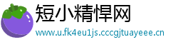 短小精悍网